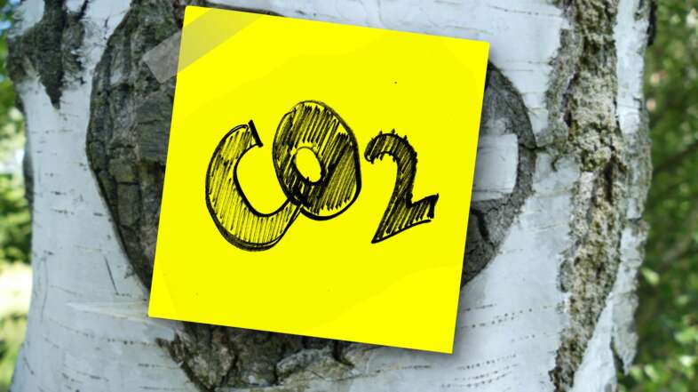 Three Simple Ways to Reduce Carbon Footprint