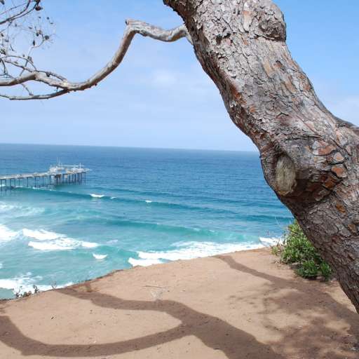 The 10 Best Beaches in San Diego