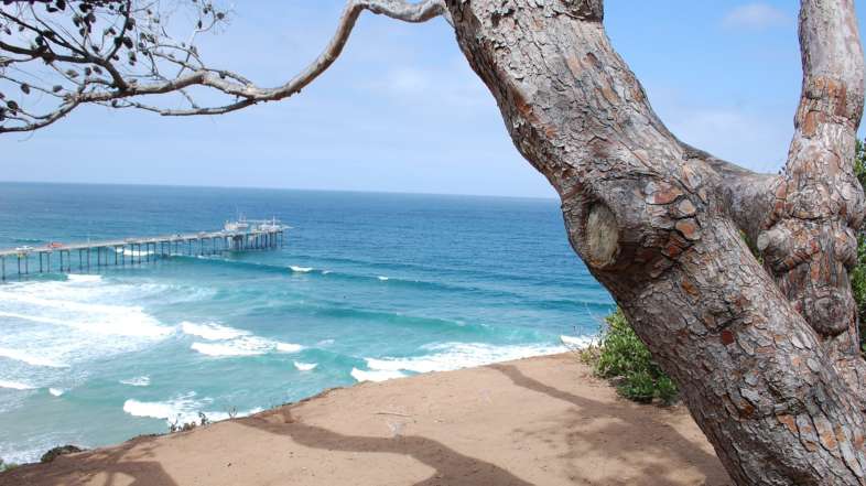 The 10 Best Beaches in San Diego