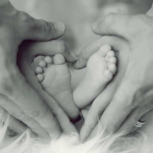 What is the process of adopting an embryo?